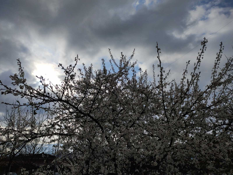 Foto:OK radio, M.Spirić